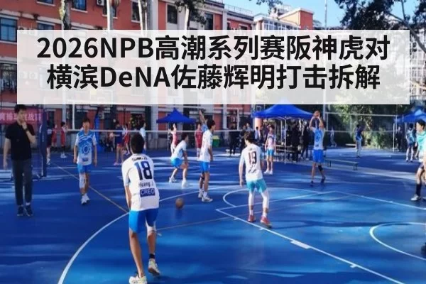 2026NPB高潮系列赛阪神虎对横滨DeNA佐藤辉明打击拆解